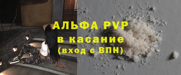 PSILOCYBIN Балабаново