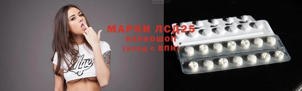 PSILOCYBIN Балабаново