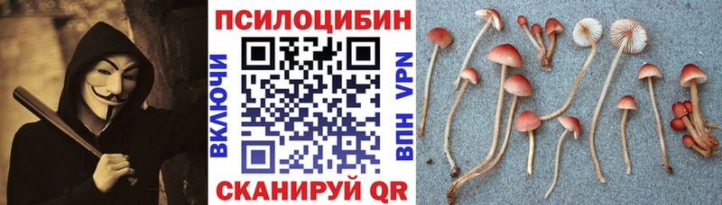 дарнет шоп  Вилючинск  Псилоцибиновые грибы ЛСД 